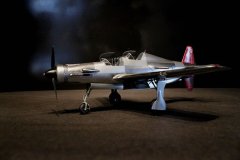 img_4113_fs